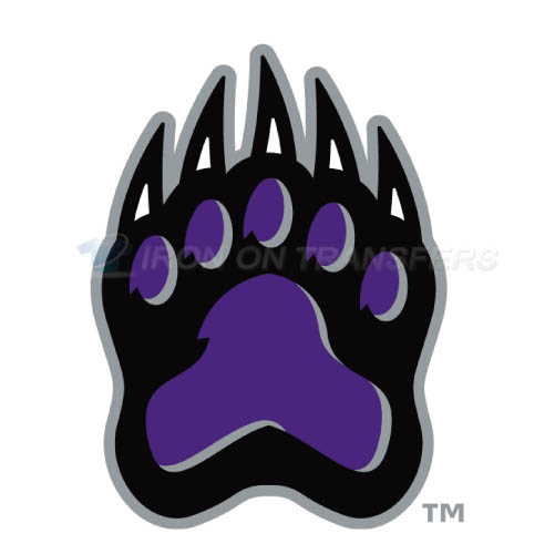 Central Arkansas Bears logo T-shirts Iron On Transfers N4106